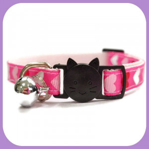 Kitten-122